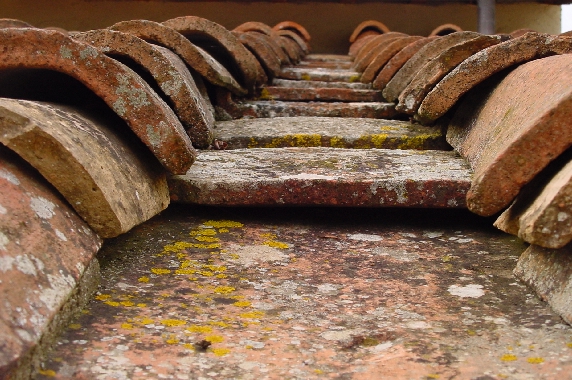 Dachziegel auf dem Land